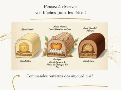 1 Bûche pour les fêtes