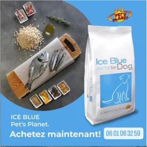 croquettes_pour_chiens_et_chats