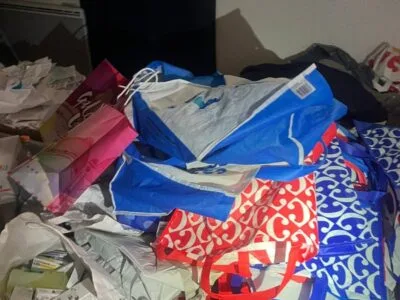 Nettoyage extrême et désinfection post Diogène