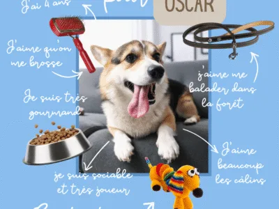 Garde de chiens et de chats
