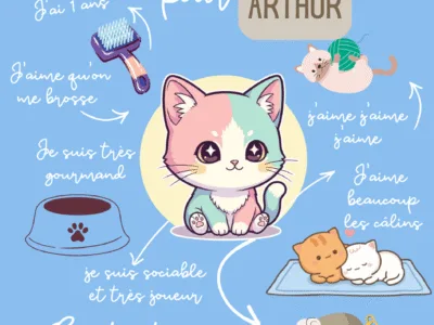 Garde de chiens et de chats
