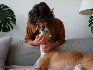 Soins et promenades d’animaux de compagnie pour les personnes dépendantes 1 Soins et promenades d’animaux de compagnie pour les personnes dépendantes